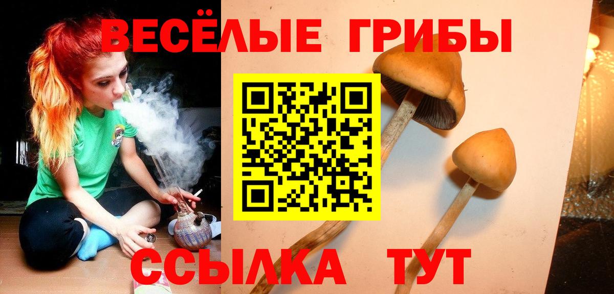 Псилоцибиновые грибы мухоморы  Псилоцибиновые грибы ЛСД  Касимов  купить закладку  Вход с VPN 